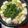みちばたの花's cooksnap of when they made 鍋だしは買う必要なし！鶏ガラスープ塩鍋.