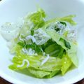 YCHキッチン's cooksnap of when they made しっとりレタスとしらすのサラダ.