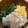 ポメちょん's cooksnap of when they made 試して欲しい♡しっとり鶏そぼろ。.