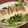 クック49L4Ho☆'s cooksnap of when they made 豆腐とレタスの簡単ウマサラダ.