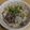 petokko's cooksnap of when they made ごぼうと牛肉の炊き込みごはん.