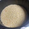 トコタン's cooksnap of when they made 圧力鍋で炊くモチモチ玄米ご飯.
