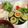 みぃぃちゃま's cooksnap of when they made 超簡単♬胡瓜のアリラン漬け.