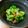 tamispada's cooksnap of when they made 夏の簡単副菜☆オクラの美味しい食べ方1位.