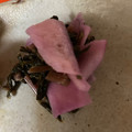 ポチ君のまま's cooksnap of when they made 日野菜のさくら漬◇わたしの漬け方.
