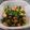 どれみきなこ's cooksnap of when they made 小松菜とベーコンの胡麻味噌常備菜。.