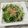 めぐ＊ぴぃ's cooksnap of when they made 超簡単☆納豆水菜.