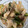 しゅがーぐらいだー's cooksnap of when they made 止まらない！大根とツナとしめじの煮物.