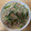 かおり♡♡♡'s cooksnap of when they made ごま油と胡麻で☆ニラともやしの塩焼きそば.