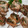 クックM96XDX☆'s cooksnap of when they made 簡単 豚しそ巻き串 居酒屋風.