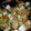 クックBKYN9D☆'s cooksnap of when they made 豚こま肉と白菜の旨煮.