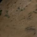 MULA's cooksnap of when they made 海老と白菜のクリームシチュー.