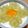 ﾋﾟﾛﾐ♡'s cooksnap of when they made ☆ぶどうヨーグルト☆.