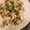 アクセル☆'s cooksnap of when they made 鶏胸肉とレンコンのオイ味噌炒め。.