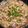 あきもみじ's cooksnap of when they made 簡単！美味♪豚バラ白菜ごま味噌にんにく鍋.