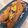 Faiza's cooksnap of when they made HMでブルーベリーパウンドケーキ.