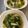 にこちゃんち's cooksnap of when they made しめじとチンゲンサイの塩麹スープ.
