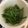 たんたん　's cooksnap of when they made いんげんの茹で方.