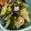 さきんぎょ☻'s cooksnap of when they made きゅうりの梅和え(きゅうり大量消費).