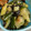 さきんぎょ☻'s cooksnap of when they made きゅうりの梅和え(きゅうり大量消費).