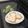 からあげパーティー's cooksnap of when they made *･･*ヨーグルトクッキー*･･*.