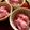 ひっこ's cooksnap of when they made 大根ラディッシュおろし.