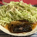 クック49L4Ho☆'s cooksnap of when they made さばの照り焼き.
