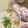 みゃみゃごと's cooksnap of when they made 鶏そぼろあんかけうどん.