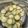 ♩キティ♩'s cooksnap of when they made マクドナルド風きゅうりのピクルス.