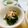 にゃつめ〜's cooksnap of when they made ほうれん草のお浸し　海苔で一味アップ♪.