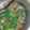 マキマキ913's cooksnap of when they made 小松菜 えのき 豆腐の味噌汁^^.