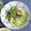 mmameco's cooksnap of when they made ✿春キャベツと豚肉ときのこの中華炒め✿.