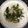 himeetsu's cooksnap of when they made ほうれん草と豚バラのさっぱりにんにく炒め.