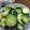 クック2FYFFY☆'s cooksnap of when they made 中華風甘酢ごまきゅうり.