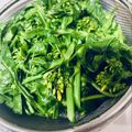 まめまるM's cooksnap of when they made 菜の花の美味しい茹で方✿.