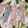♬のんのこ日和♬'s cooksnap of when they made 千切り野菜たっぷり★基本の豚しゃぶ.