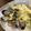 しゅうう's cooksnap of when they made メインはキャベツ！あさりのさかむし.