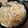 嵐の松潤が大好き♥️♥️'s cooksnap of when they made 旦那の一番好きな煮込みうどん.