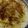 ずぼらのみい's cooksnap of when they made 新たまねぎのチーズ焼き.