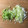 Ruriluru's cooksnap of when they made ★長ネギ　簡単　みじん切り★.