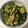 たまちゃん❗️'s cooksnap of when they made 簡単！たたききゅうりの即席漬け.