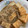 クックHDP0M2☆'s cooksnap of when they made 厚揚げともやしのトロミあんかけ.