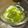 toshio39's cooksnap of when they made キワーノの食べ方.