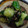 りお５１０'s cooksnap of when they made コク旨＊きゅうり塩こんぶ＊おつまみにも！.