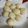 maraion's cooksnap of when they made お月見団子(白玉粉使用).