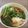 たべものにっき　tabemono's cooksnap of when they made 冷たい麺、おくらと長いものそうめん.