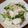 クックM96XDX☆'s cooksnap of when they made マスタード風味☆カブ＆ツナのサラダ.