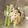 クック6U7INU☆'s cooksnap of when they made レンジで簡単☆もやしと小松菜のナムル.