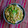 ❤️かわだん❤️'s cooksnap of when they made ♡めかぶと納豆和え♡.