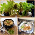 かっちゃん杉's cooksnap of when they made ネギの再利用　キッチンガーデニング.